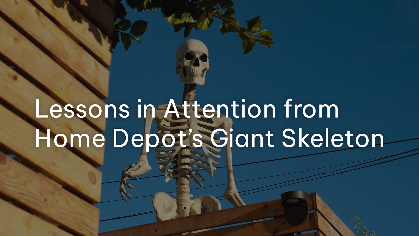 5 Ways Home Depot's Skeleton May Bone Up Long-Term Sales