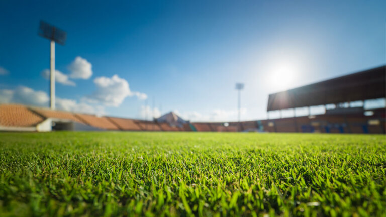 Spring Sports Are Here