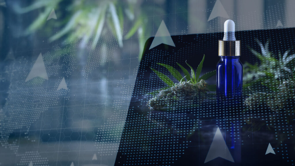 High Expectations, Higher ROI: Fresh Programmatic Strategies For Legal Cannabis